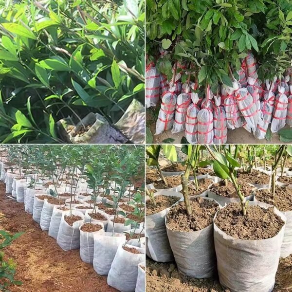 100-500Pcs Biodegradable Nursery Bag Plant Grow Bags Non-woven Fabric Seeds To Sow Flower Pots For Home Garden Accessories Tools