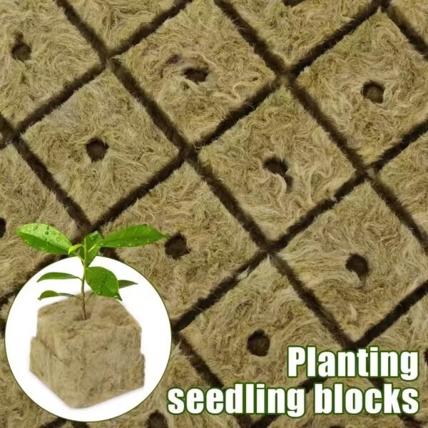 Sponge Block Starter Plugs Rock Wool Grow Cubes Seed Starters Planting Cubes Hydroponics Cuttings Plant Propagation Grow Supply