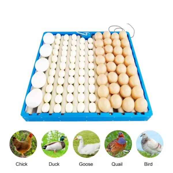 egg turner for incubator