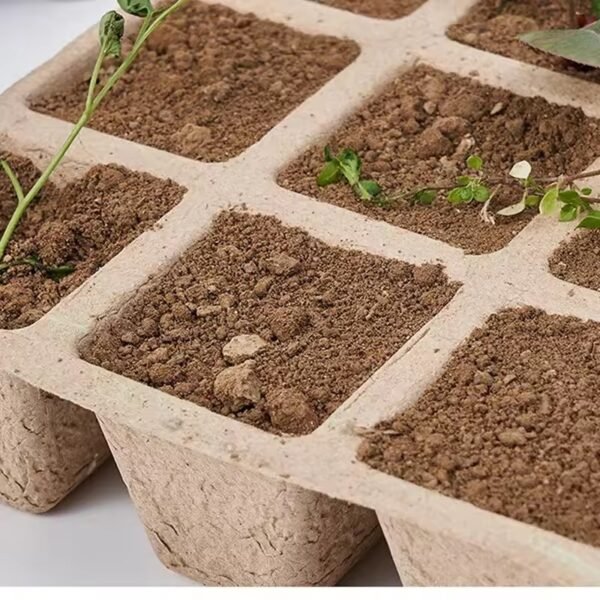 10/20PCS Disposable Nursery Seedling Cup Seedling Tray with Lid Sprouting Germination Cultivation Bowl Plant Pot Biodegradable