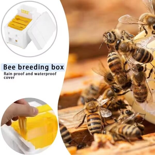 Bee Breeding Case - Image 5