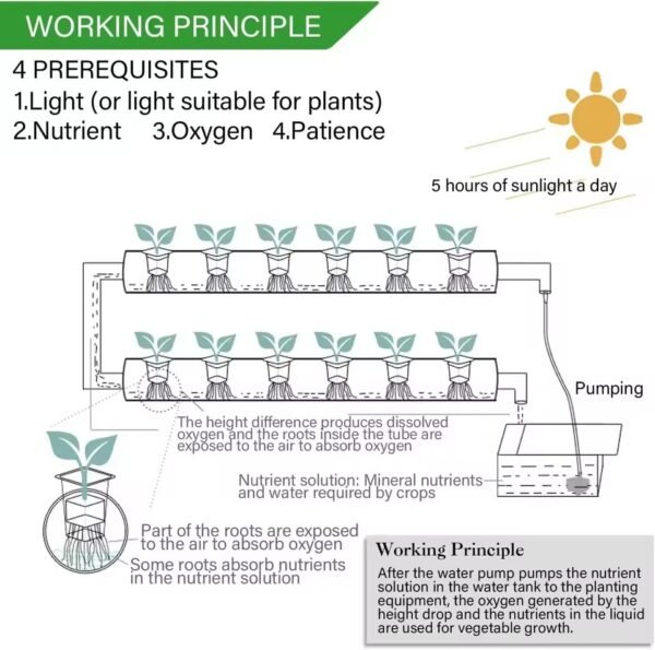 3-Layer Hydroponics Growing System Kit