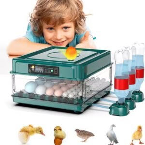 9-15 eggs incubator for Chicken Goose Bird Quail Automatic Incubation Equipment Hatchery Incubation Tools EU Plug