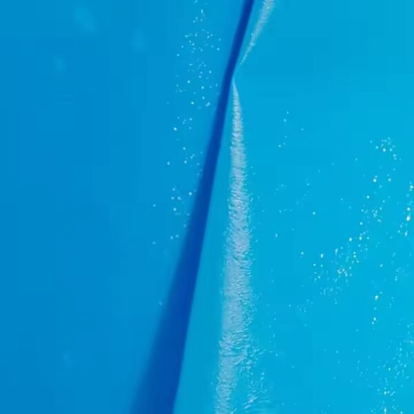 Bug Sticky Roll Tape - Image 2