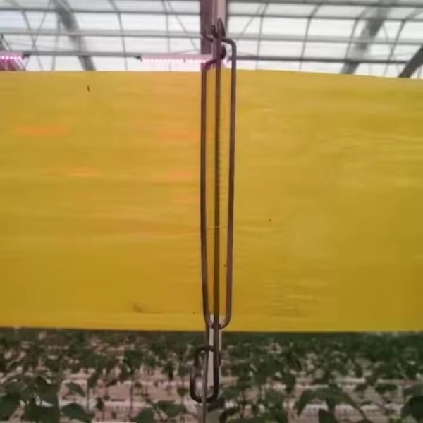 Bug Sticky Roll Tape - Image 4