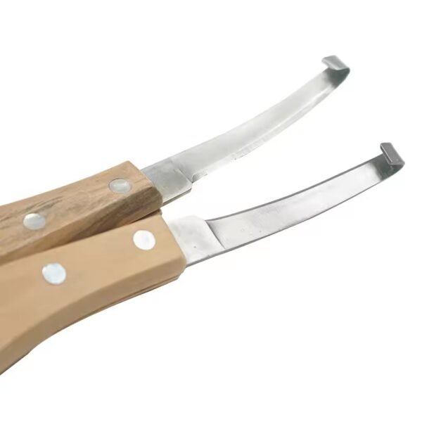 Cattle Horses Hoof Cutter - Image 4