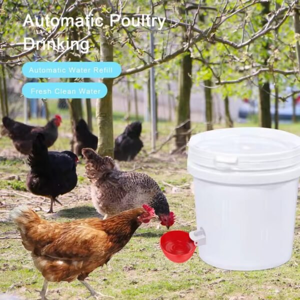 Chicken Waterer Cups