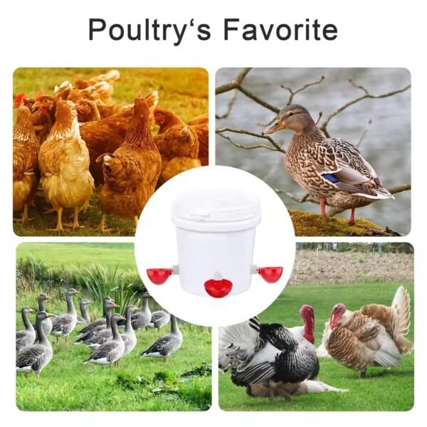 Chicken Waterer Cups - Image 5