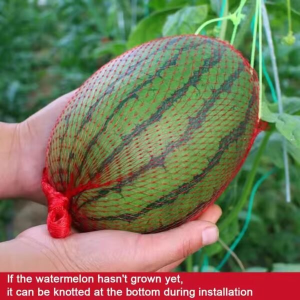 Hanging Watermelon Grow Net Bags - Image 5