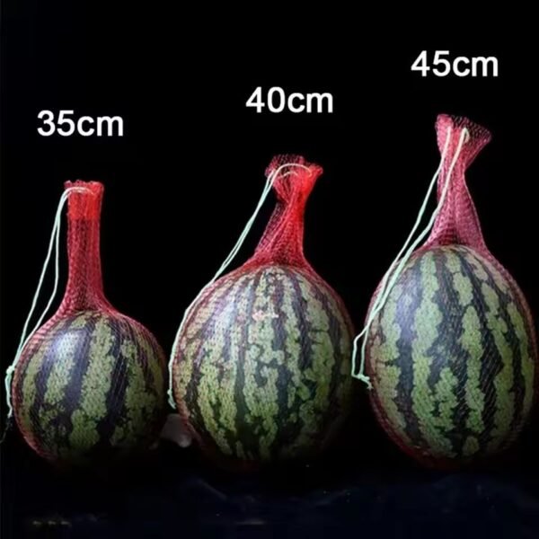 Hanging Watermelon Grow Net Bags - Image 2