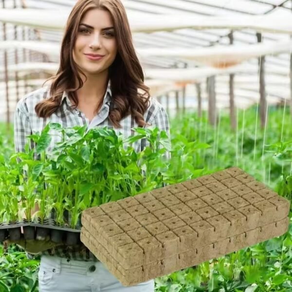 Hydroponic Sponge Block Seed Starters - Image 5