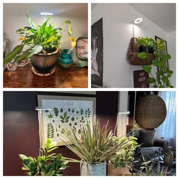 Indoor Solar LED Growth Light