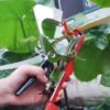 Plant Branch Tie Tape Set for Garden Tape tool - Image 4