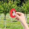 Plant Branch Tie Tape Set for Garden Tape tool - Image 6